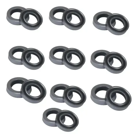 Gaxeta 12 x 20 x 5 - Kit 12 Peças